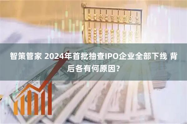 智策管家 2024年首批抽查IPO企业全部下线 背后各有何原因？