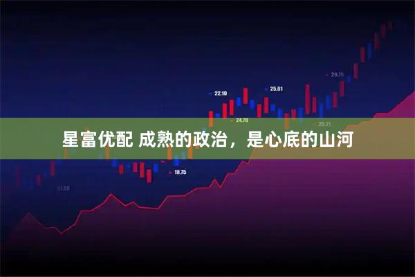 星富优配 成熟的政治，是心底的山河