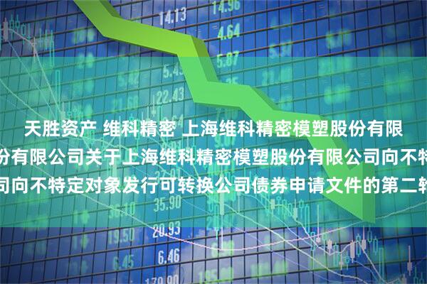 天胜资产 维科精密 上海维科精密模塑股份有限公司与国泰海通证券股份有限公司关于上海维科精密模塑股份有限公司向不特定对象发行可转换公司债券申请文件的第二轮审核问询函的回复