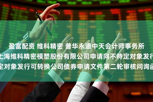 盈富配资 维科精密 普华永道中天会计师事务所（特殊普通合伙）关于上海维科精密模塑股份有限公司申请向不特定对象发行可转换公司债券申请文件第二轮审核问询函回复的专项意见